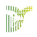 抖盈AI短視頻智能生成平臺