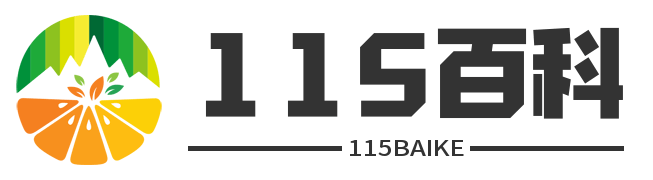 115百科網(wǎng) - 一個(gè)集生活常識(shí)與經(jīng)驗(yàn)分享于一體的綜合性平臺(tái)