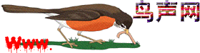 鳥聲網(wǎng) 鳥叫聲MP3 最新鳥聲音下載網(wǎng)站