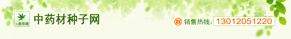 中藥材種子網(wǎng)-售藥材種子-中藥材種子-中藥材種子網(wǎng)