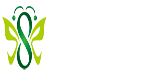51板報(bào)~精彩生活，隨心所閱！