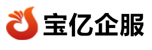 寶億企服 - 您的專業(yè)企業(yè)服務(wù)合作伙伴
