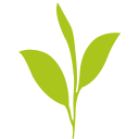 伯遠(yuǎn)生物 讓轉(zhuǎn)化成為貫穿組學(xué) 基因功能研究的萬千河流