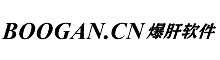 BOOGAN爆肝AI寫作助手，ai寫小說軟件工具，小說大綱軟件，小說大綱生成器，小說素材收集器，小說大綱軟件，小說素材軟件，小說數據分析，小說詞頻統計，小說大綱模板一鍵生成軟件。