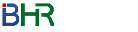 武漢百世英才人力資源有限公司-百才招聘