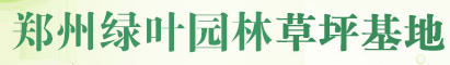 鄭州草坪基地|中牟草坪基地|河南草坪基地-鄭州綠鵬園林13783418107【官網】