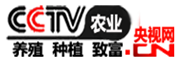 農業致富網_CCTV農業商務養殖種植視頻頻道!