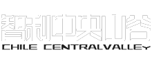 智利中央山谷網(wǎng)