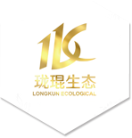 陶瓷PC磚-仿石材-PC仿石材-PC磚-瓏琨生態科技(上海)有限公司