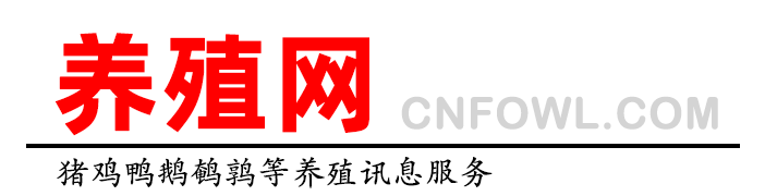 禽網-肉雞蛋雞 肉鴨蛋鴨 肉鵝 鵪鶉等禽養殖信息服務！