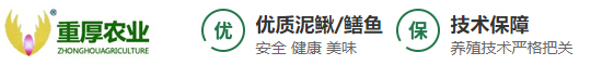 重慶泥鰍苗,重慶泥鰍養殖技術,重慶黃鱔苗,重厚農業