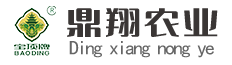 重慶市鼎翔農業發展有限公司|大足特產|寶頂牌冬菜|寶頂冬菜尖