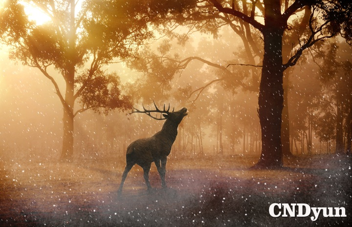 麥兜的生活分享網(wǎng)