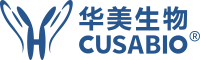 專業提供基因,重組蛋白,抗體,ELISA kit,診斷試劑原料,定制服務-華美生物