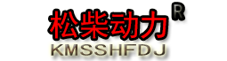 柴油發(fā)電機-柴油發(fā)電機組-上海揚柴發(fā)動機有限公司