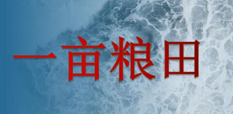 首頁-哈爾濱一畝糧田網絡科技有限公司