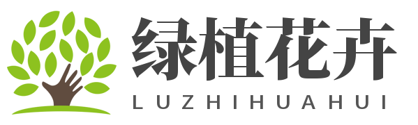 常見(jiàn)綠植花卉如何種植,植物百科,花卉寓意_迪奧克綠植花卉