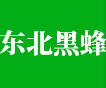東北黑蜂蜜_饒河黑蜂蜜_椴樹(shù)蜜-饒河縣鄒氏東北黑蜂產(chǎn)品有限公司道外分公司