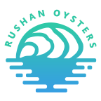 正宗山東乳山生蠔批發_中國乳山牡蠣供應平臺_燈塔水母