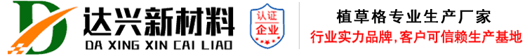 消防通道植草格_加強(qiáng)型平口植草格_景區(qū)植草格_停車(chē)場(chǎng)植草格廠家?-達(dá)興新材料