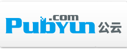 專業的云計算、動態域名服務提供商 - 公云PubYun