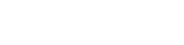 菲奧雷拉地板