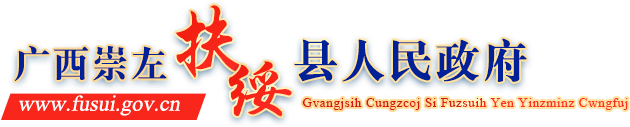 廣西崇左市扶綏縣人民政府門戶網(wǎng)站