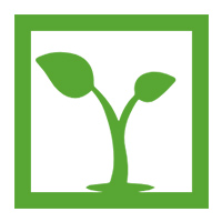 包頭苗圃_綠化苗木「內(nèi)蒙古呼和浩特鄂爾多斯苗木基地」找格林沃德苗木廠家