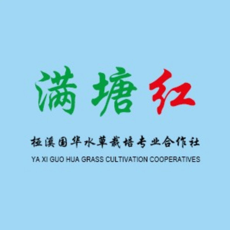 國華水草-高淳縣椏溪國華水草栽培專業合作社-國家農民合作社示范社-輪葉黑藻-芽孢-伊樂藻-四季苦草