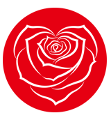 合道服飾：全球潮牌匯總