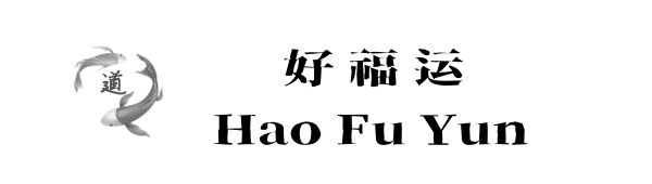 開運(yùn)術(shù)高功靜烎道長(zhǎng)-轉(zhuǎn)運(yùn)改運(yùn)玄學(xué)大師父