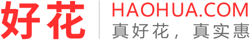 鮮花速遞網(wǎng)站-好花網(wǎng)!網(wǎng)上訂鮮花,百株好花只取一朵精華