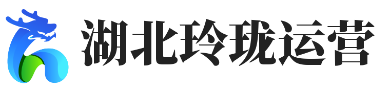 湖北靈龍電商 - 天貓代運營-淘寶代運營-淘寶托管-天貓托管-直通車托管-網店托管-整店設計公司