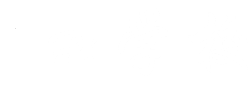 Hi學校_找學校,選學校,就用Hi學校_匯集全國幾十萬所學校_上百萬教育資訊_專業(yè)的一站式選學校平臺,致力于解決家長為孩子擇校煩惱