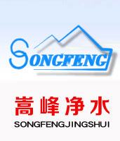 果殼_椰殼_顆粒活性炭_煤質柱狀_水處理濾料--嵩峰凈水廠家