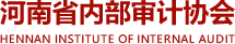河南省內(nèi)部審計協(xié)會
