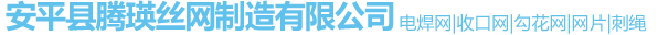 安平縣騰瑛絲網制造有限公司