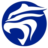 單機游戲_單機游戲下載_單機游戲攻略_虎游網