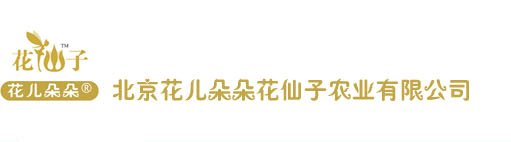首頁―北京花仙子園藝―專業種子培育，批發零售各種花卉、花種、苗木