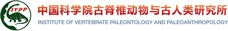中國科學院古脊椎動物與古人類研究所