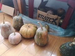 B體育·(sports)官方網(wǎng)站