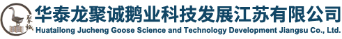 KOLOS鵝_KOLOS鵝養殖_鵝肥肝出口-華泰龍聚誠鵝業科技發展江蘇有限公司