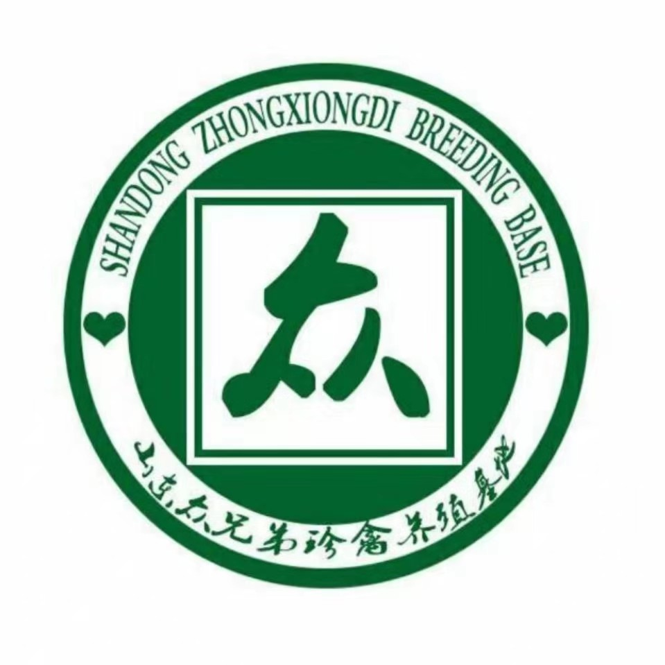 嘉祥縣眾兄弟養(yǎng)殖場(chǎng)_鴕鳥(niǎo)_矮馬品種_羊駝價(jià)格_黑天鵝養(yǎng)殖_梅花鹿養(yǎng)殖_萌寵樂(lè)園