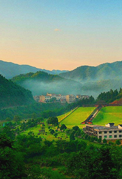 浪濤科技孟母通