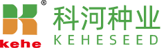 內(nèi)蒙古巴彥淖爾市科河種業(yè)有限公司