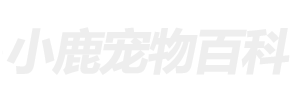 小鹿寵物百科網 - 分享小貓咪,狗狗等寵物飼養訓練技巧知識
