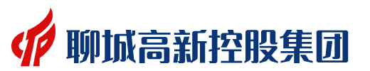 聊城高新控股集團有限公司