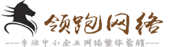 LINGPAO 、【南充網(wǎng)站建設(shè)，南充網(wǎng)絡(luò)公司】—【南充領(lǐng)跑網(wǎng)絡(luò)】