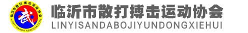 臨沂市散打搏擊運(yùn)動協(xié)會