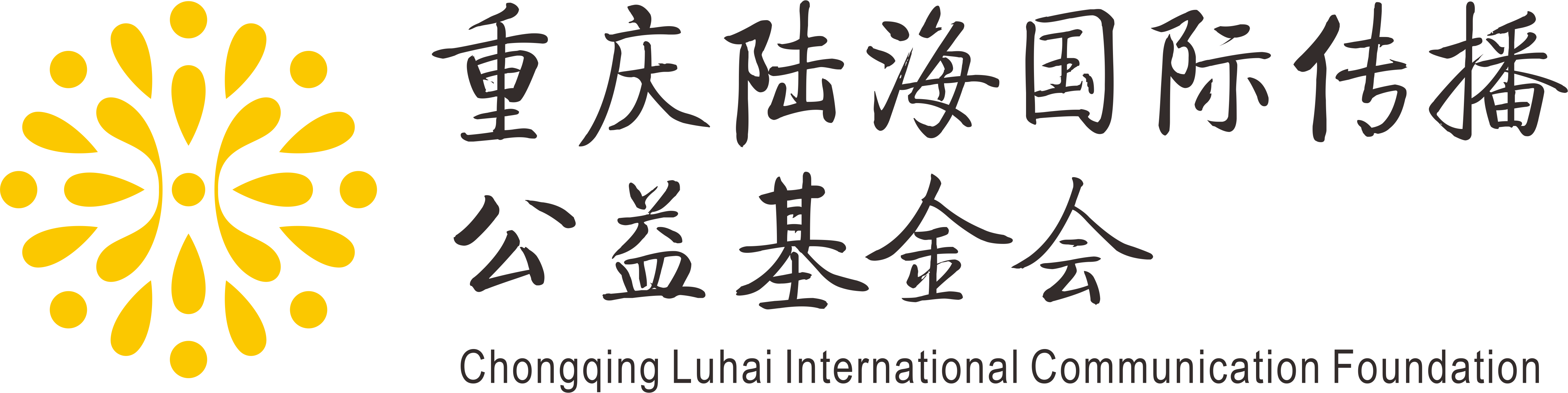 重慶陸海國際傳播公益基金會(huì)